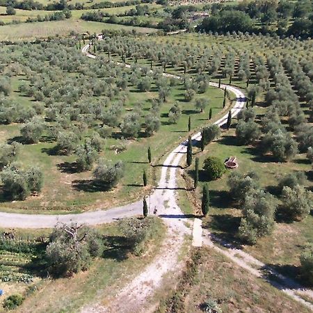Macchiascandona Casetta Dell'Uliveto מראה חיצוני תמונה