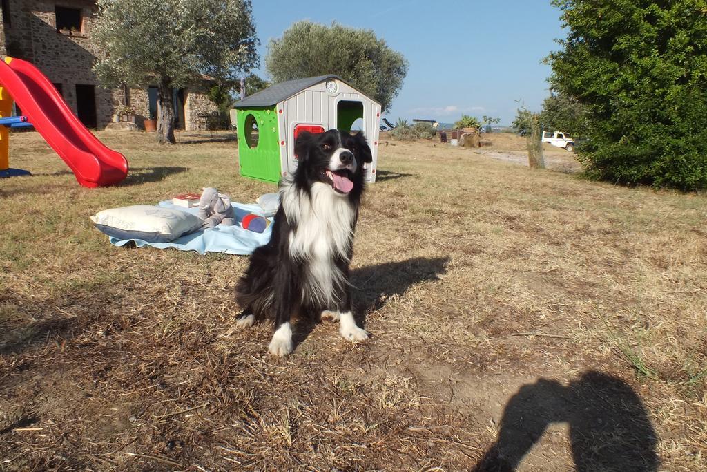 Macchiascandona Casetta Dell'Uliveto מראה חיצוני תמונה
