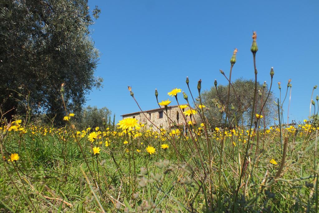 Macchiascandona Casetta Dell'Uliveto מראה חיצוני תמונה