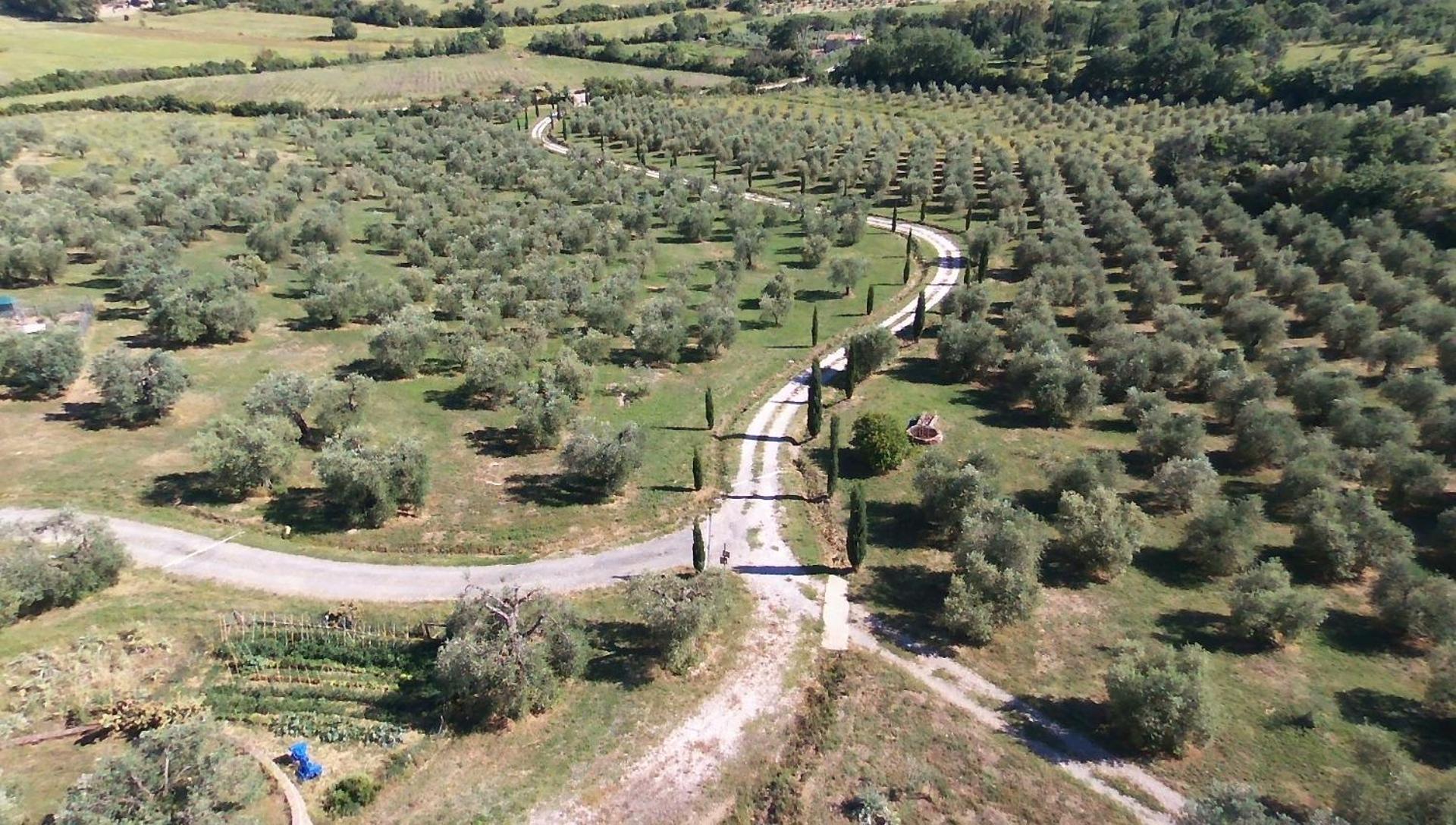 Macchiascandona Casetta Dell'Uliveto מראה חיצוני תמונה